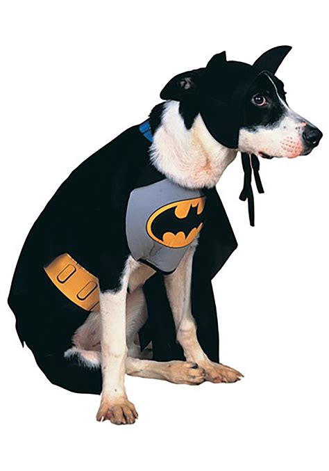 dog batman halloween costume